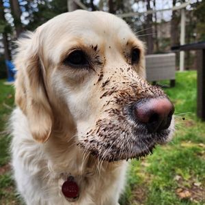 Meet your Posher, Logan (me)